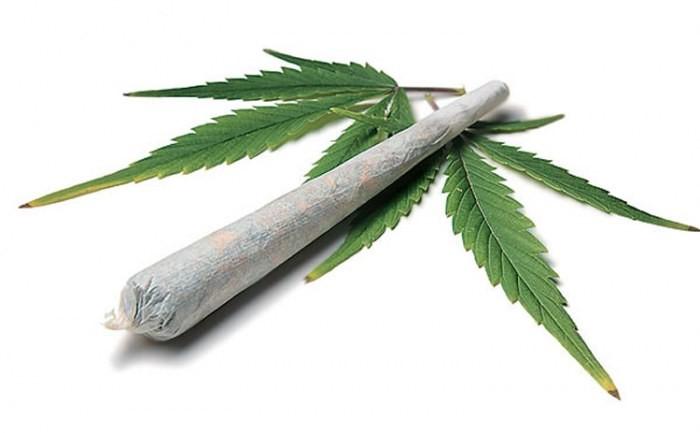 Resultado de imagem para maconha
