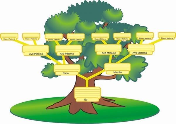 arvore genealogica