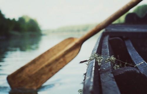 Resultado de imagem para estamos no mesmo barco